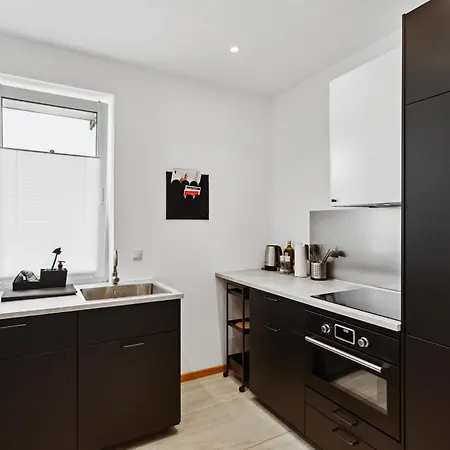 Apartman Gross, Modern, Vollausgestattet, Gemuetlich Mit Kueche Und Parkplatz Fuer Urlaub Oder Business